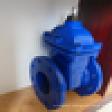 Non-Rising Stem Gate Valve